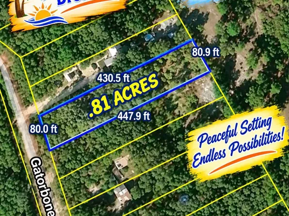 7043 GATORBONE Road, Keystone Heights, FL 32656