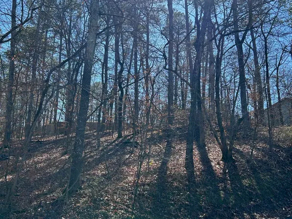 Houston Dr, Hot Springs National Park, AR 71913