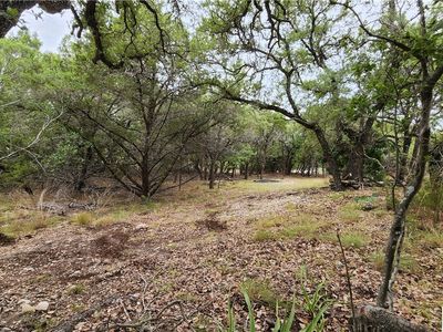 1380 Roadrunner Ln, Canyon Lake, TX, 78133