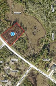 Royal Trails Rd LOT 24, Eustis, FL, 32736