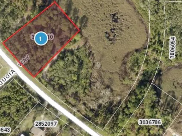 Royal Trails Rd Lot 24, Eustis, FL 32736