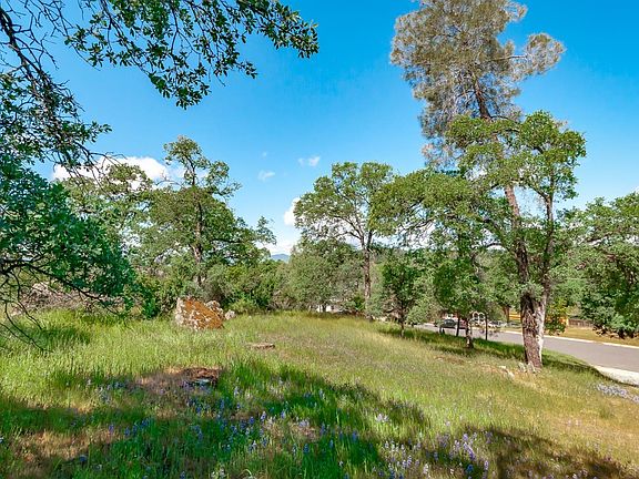 4th image of 419 Live Oak Dr #110/3