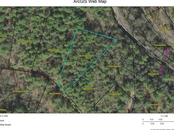 11 Bear Cove At Frst #C, Hayesville, NC 28904