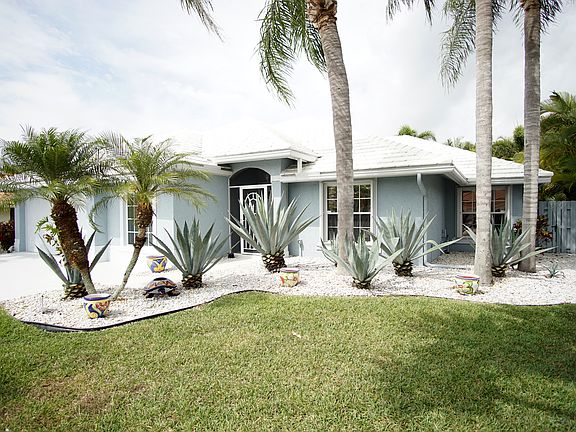 Lovely Tropical Vegetation