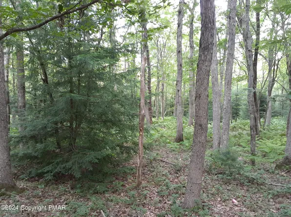 A142 Rosewood Dr, Jim Thorpe, PA 18229
