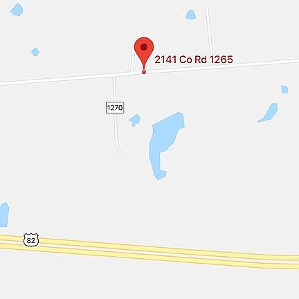 Google Map view