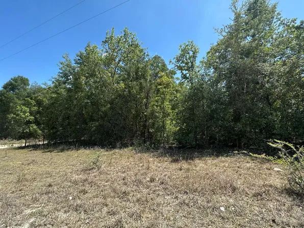 0 7th Place 72nd Ct, Bell, FL 32619