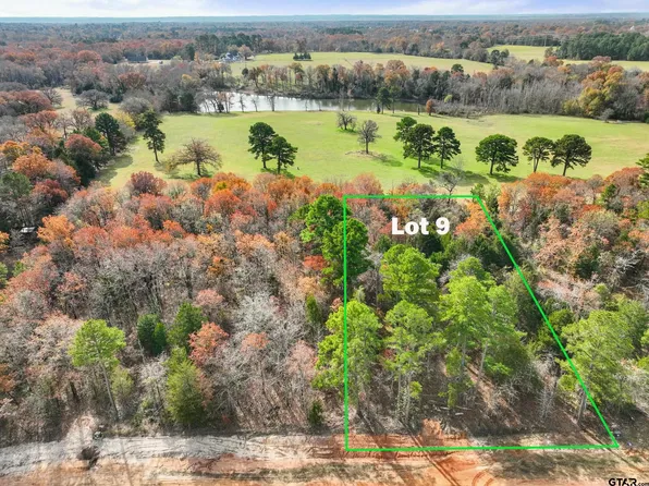 Private Road 6305 Lot 9, Mineola, TX 75773