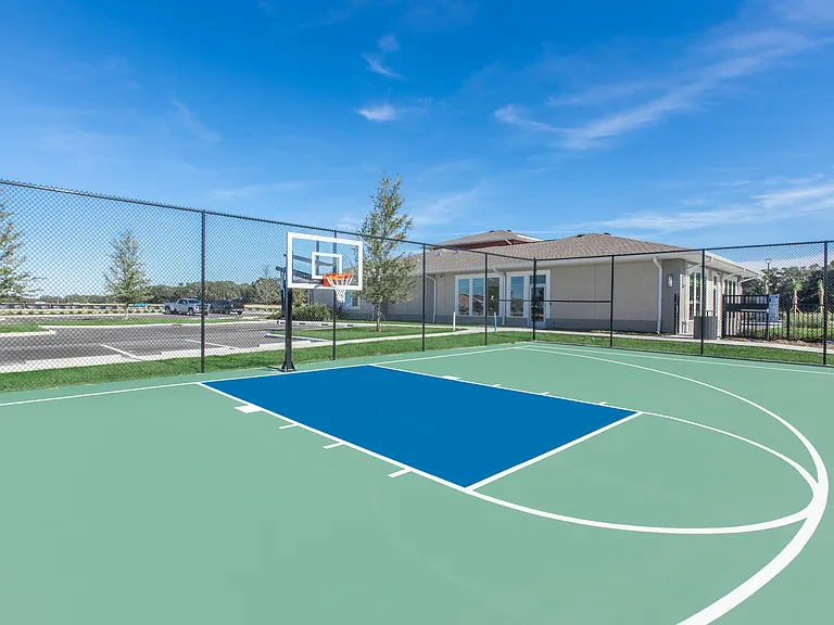 Basketball Court