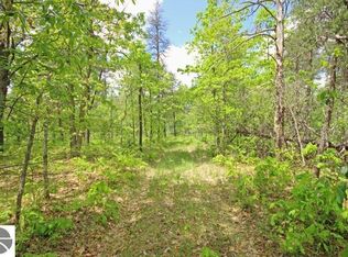 10 Acres E Scharmen Rd, Traverse City, MI 49696