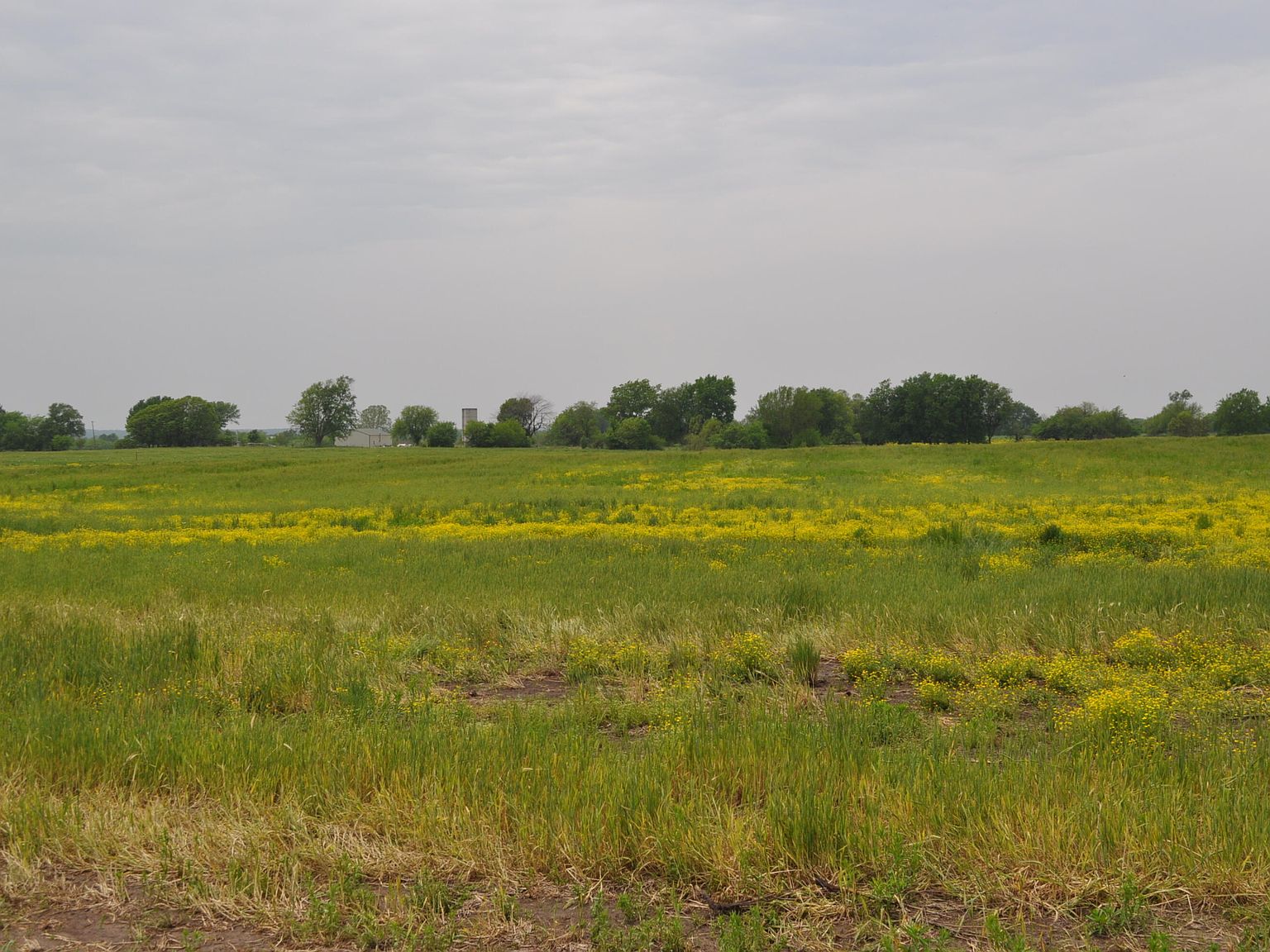 Tract B N Farm Road 71, Bois D Arc, MO 65612 | Zillow