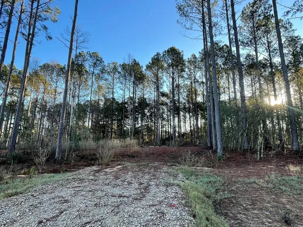 11356 Annie Creek Dr, Willis, TX 77378