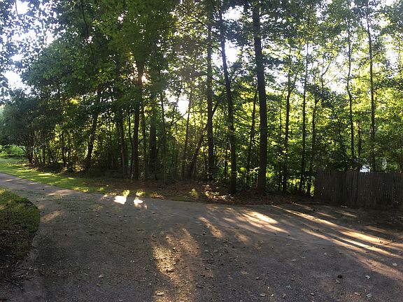Driveway in the summer