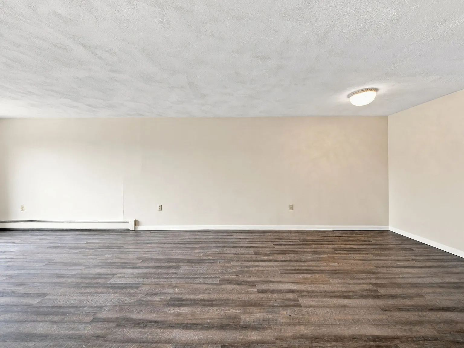 1 bed, 650 sqft, $2,000 — Photo 4