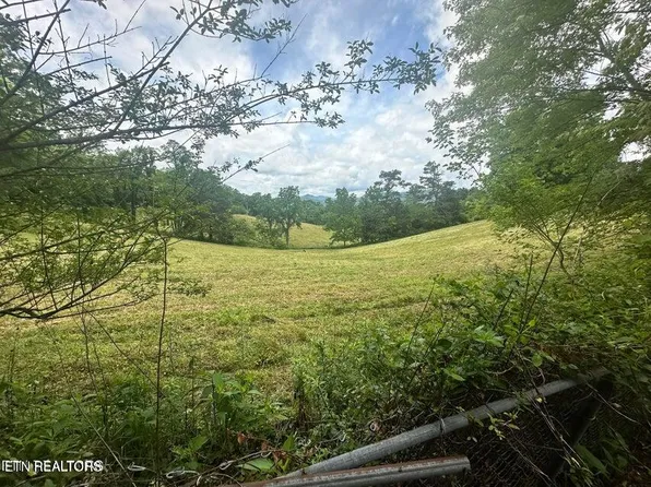 1123 Pleasant Ridge Rd, La Follette, TN 37766