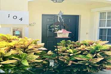 Home For Sale In The Belmont