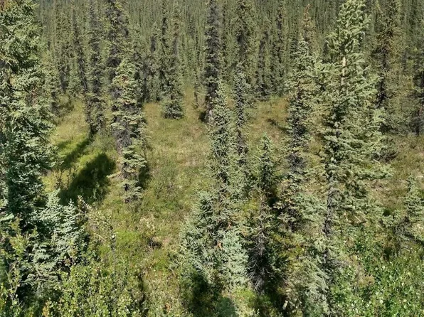 0 Remote, Gakona, AK 99586