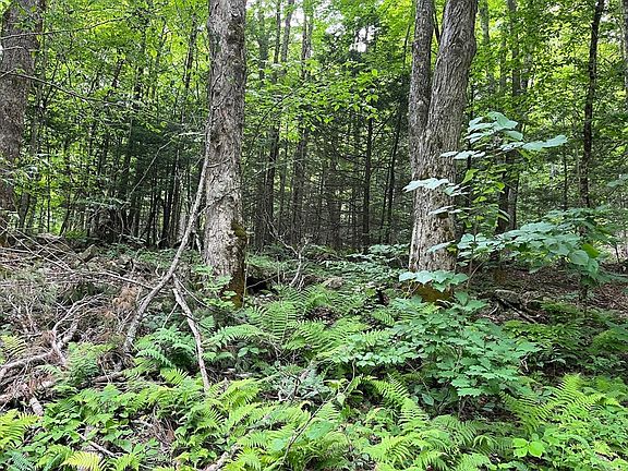 4th image of 2 & 3 Goss Hill Rd