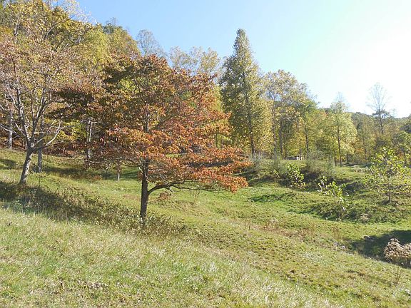 60th image of this home