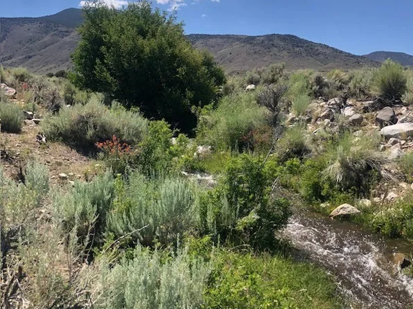 131D Wild Horse Run, Dyer, NV 89010