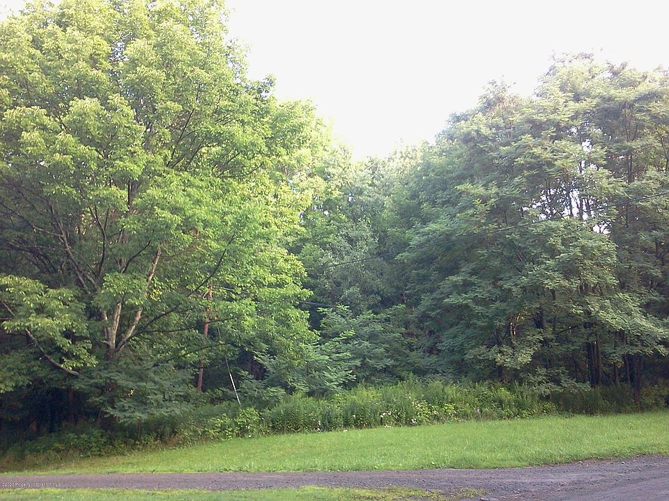 2nd image of Lake Roy Rd