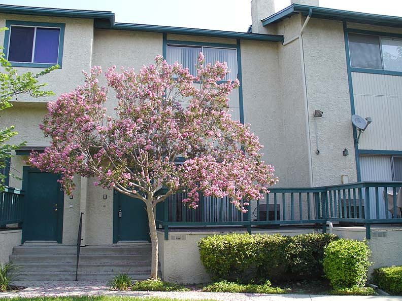 1st image of 1408 W Village Ln