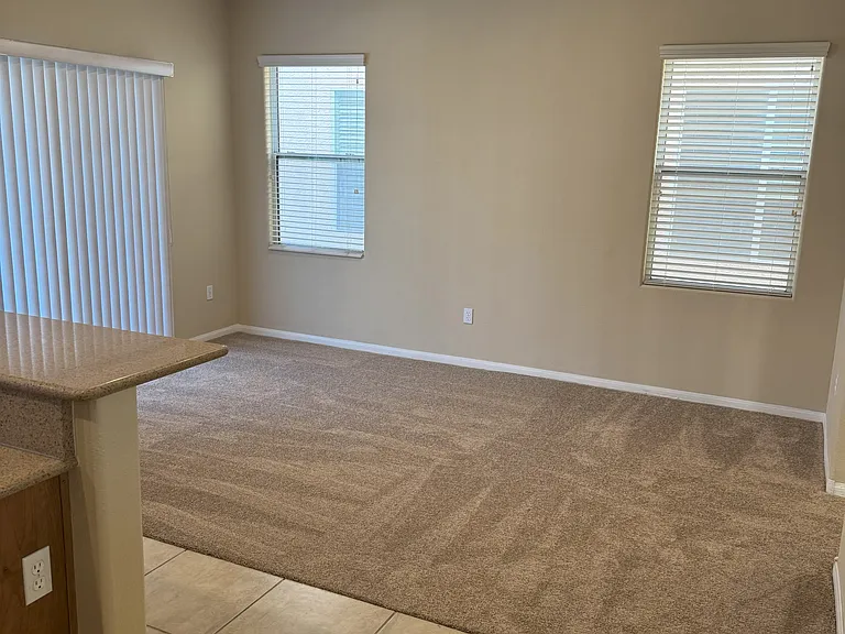 10633 Chestnut Timber Ct — Photo 9