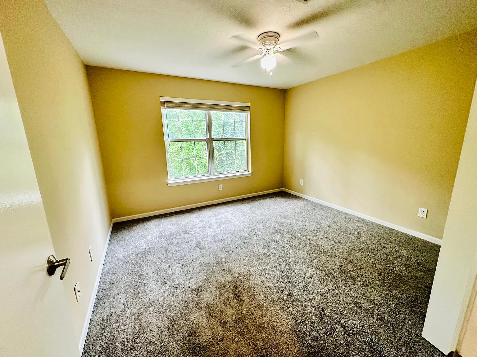 7701 Timberlin Park Blvd — Photo 3