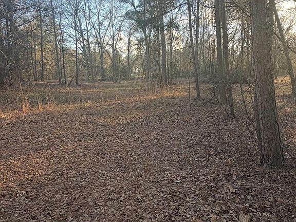 2nd image of 0 Jett Roberts Rd