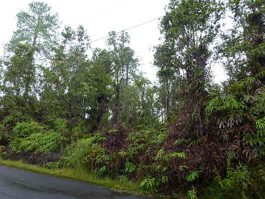 2nd image of 11-2727 Ala Kapena #24