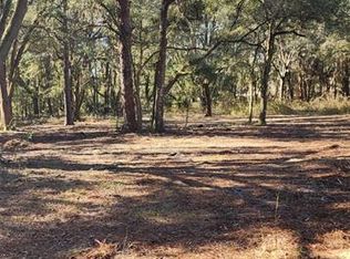 7050 NE 192nd Pl #28, Citra, FL 32113