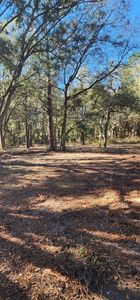 7050 NE 192nd Pl #28, Citra, FL, 32113