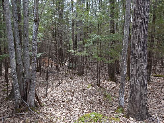 2nd image of Harvest Lane #25