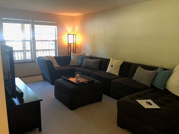 Living Room & Front Window