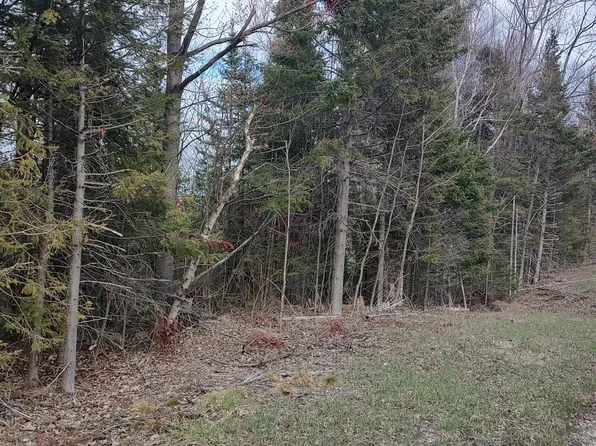 Us Highway 23, Cheboygan, MI 49721