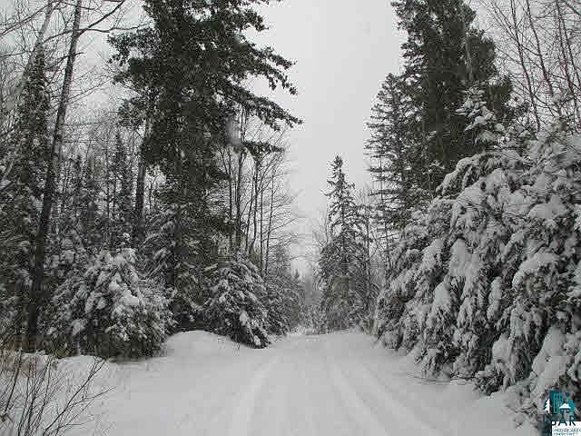 1st image of 190.05 Acres on Ness Ln
