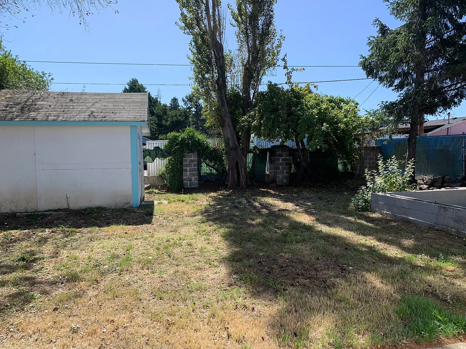 3 bed, 909 sqft, $1,800 — Photo 2