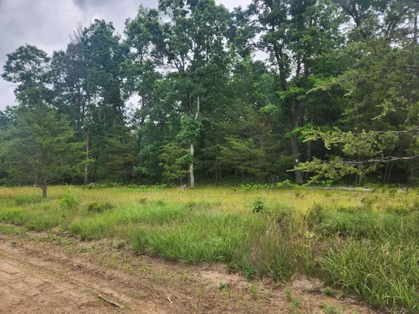 PARCEL W 16th St #B, Baldwin, MI 49304