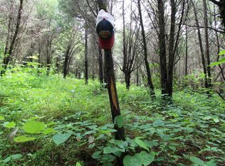 2399 Roush Hill Rd LOT WP001, Manchester, OH 45144