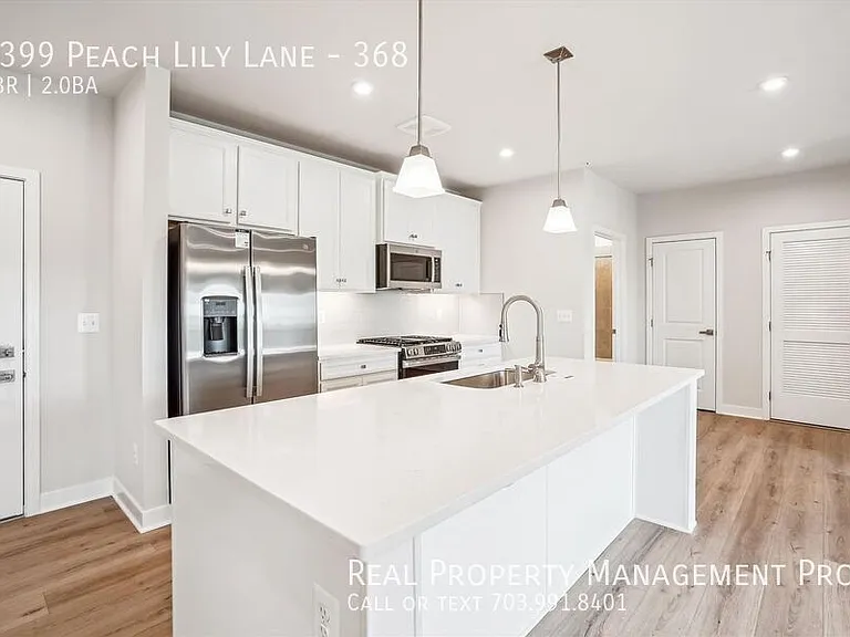 4399 Peach Lily Ln #368 — Photo 4