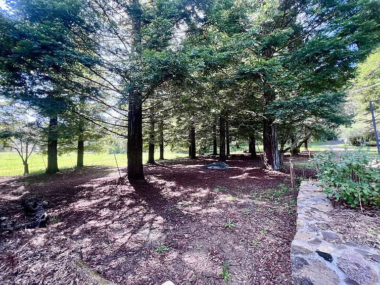 Green Hill Rd — Photo 33