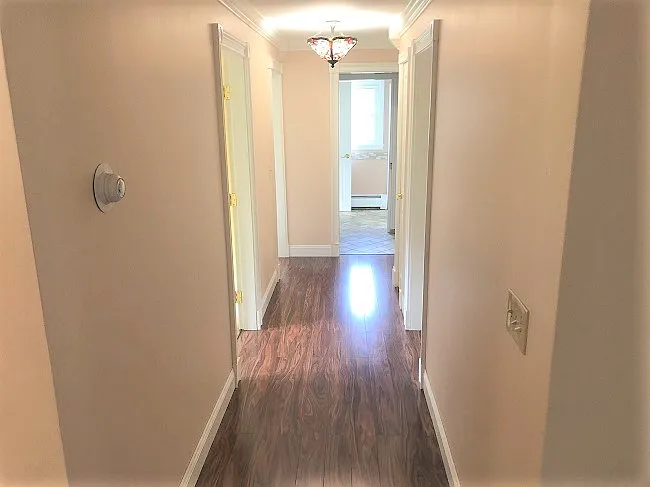 663 Essex St #1 — Photo 7