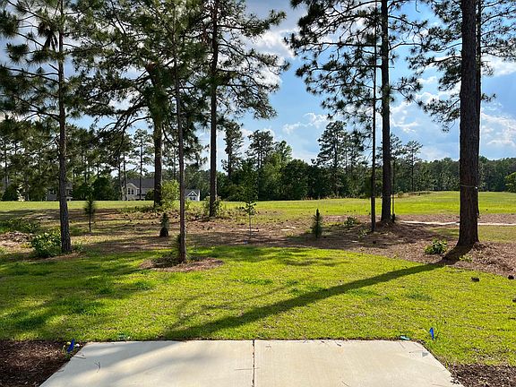 Beautiful open green space back yard.