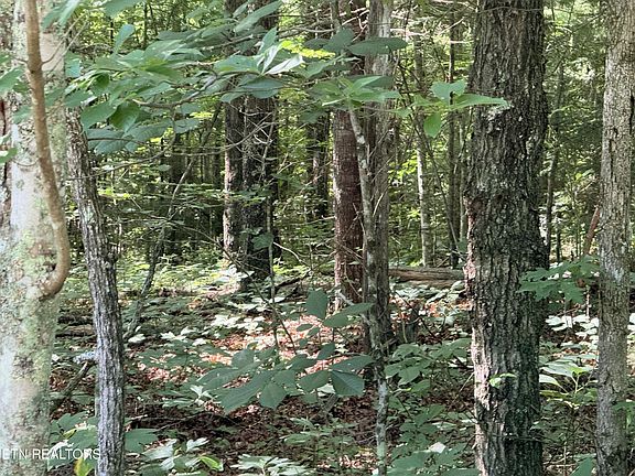 3rd image of 390 Georgee Rd Lot 78