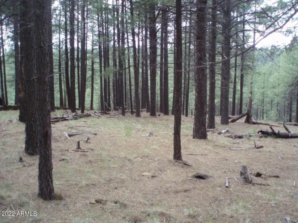 Pcl1&2 Coconino Forest Road 137A -- #-, Happy Jack, AZ 86024