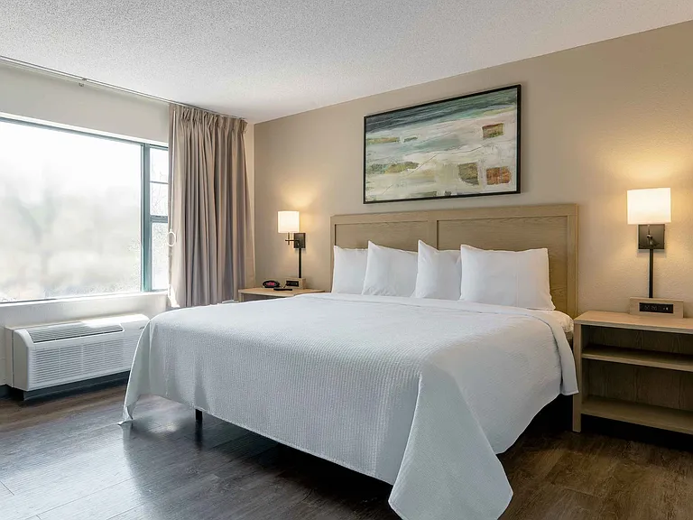 1 Bedroom Suite - 1 King Bed