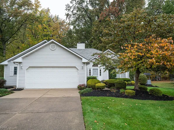 1125 Dartmouth Dr, Painesville, OH 44077