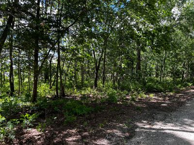 000 Private Road 1195, Aurora, MO, 65605