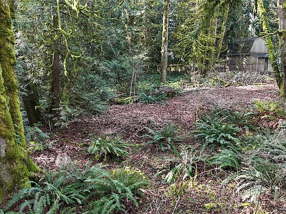 2nd image of 2254 Yew Street Road