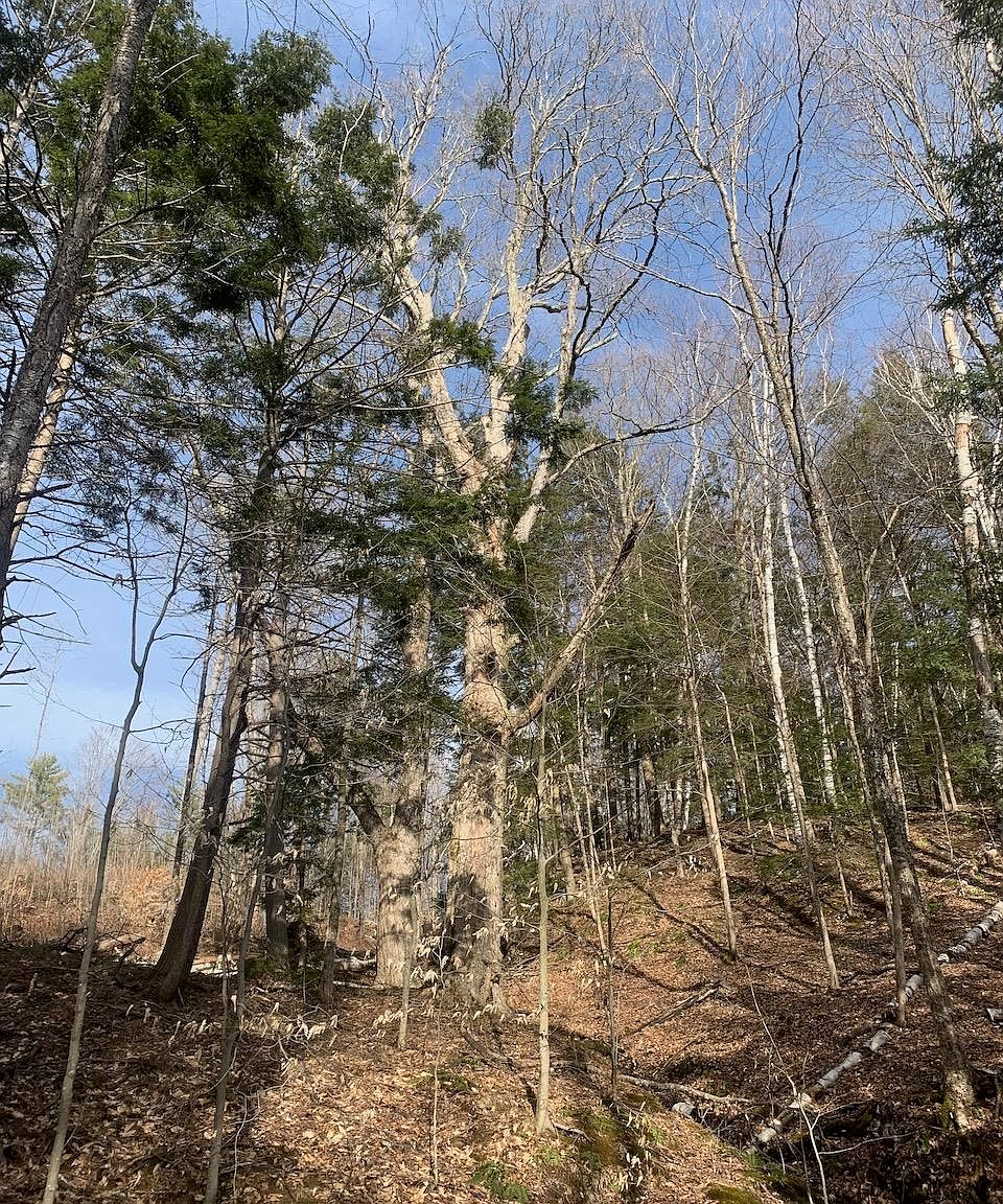 00 Brownsville Hartland Road, Windsor, VT 05089 MLS 4907129 Zillow